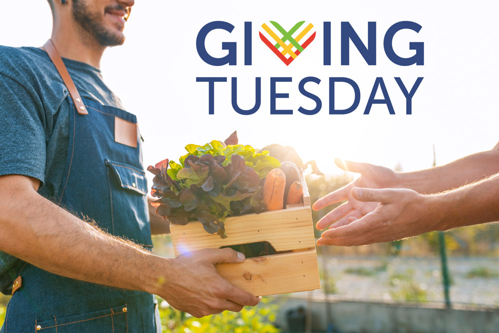 Giving Tuesday